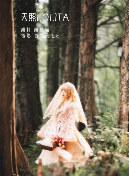 你是我的荣耀电视剧免费观看