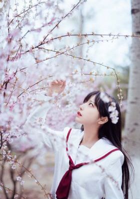 成全视频观看免费高清第6季